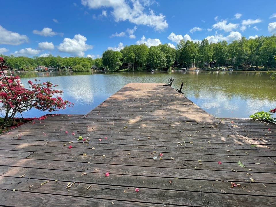View of Lake from our Dock