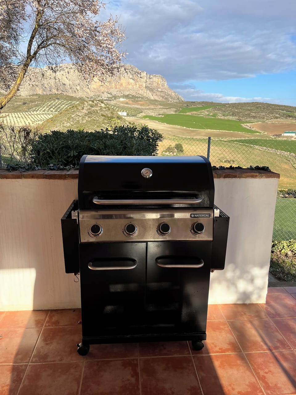 Gas BBQ.