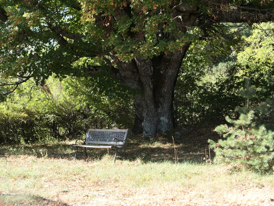 Shared Open Space
