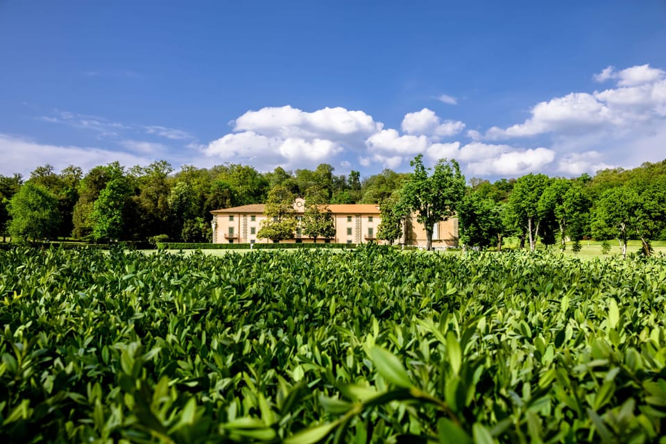 Town photo