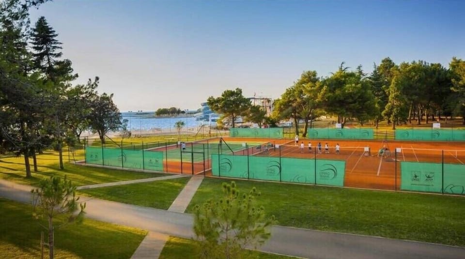 Sport court