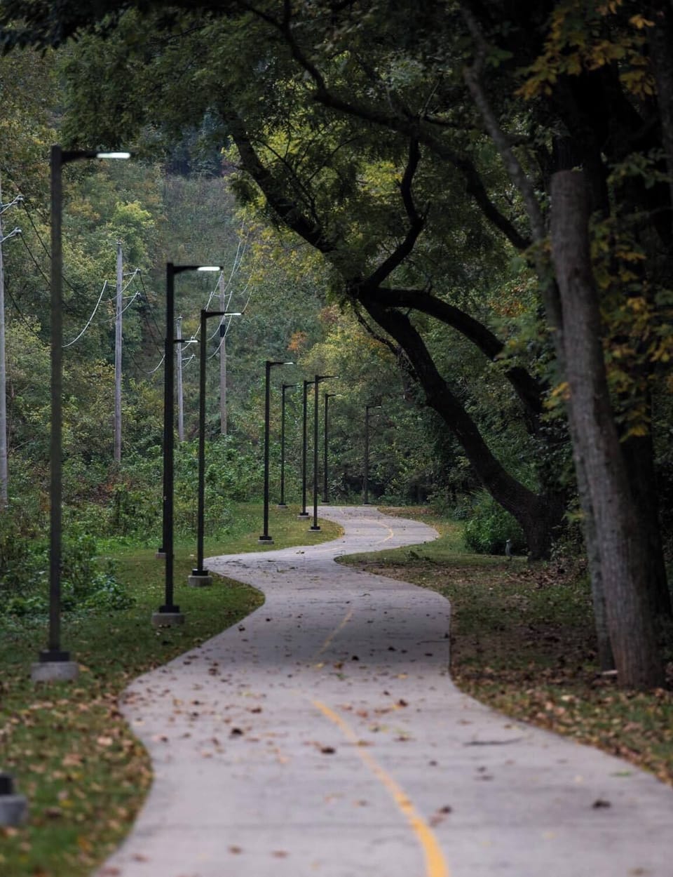 Lake Atalanta Park and the Rogers trail system are nearby, giving guests easy access to paved paths, nature, and outdoor recreation. MC5 is a great base for biking, walking, or exploring NWA while staying close to downtown Rogers and Bentonville.