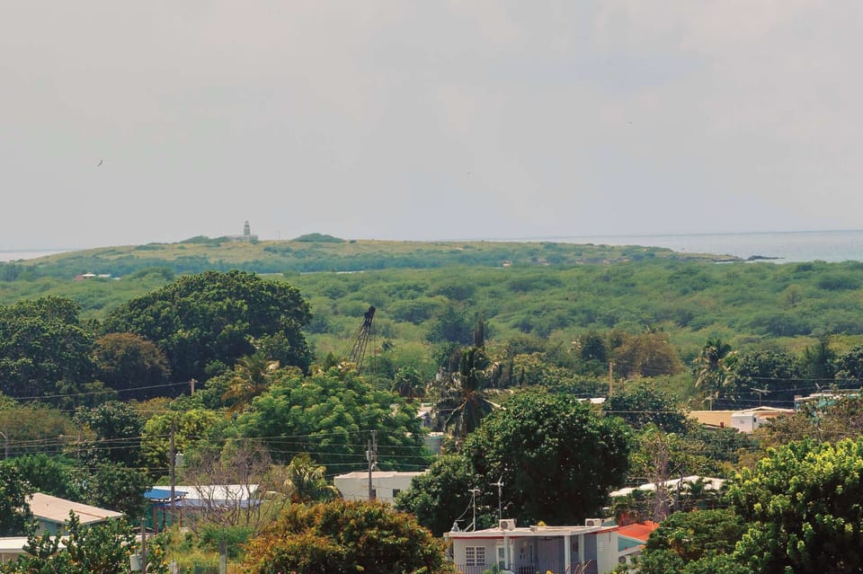 Lush green landscape meets the tranquil ocean horizon