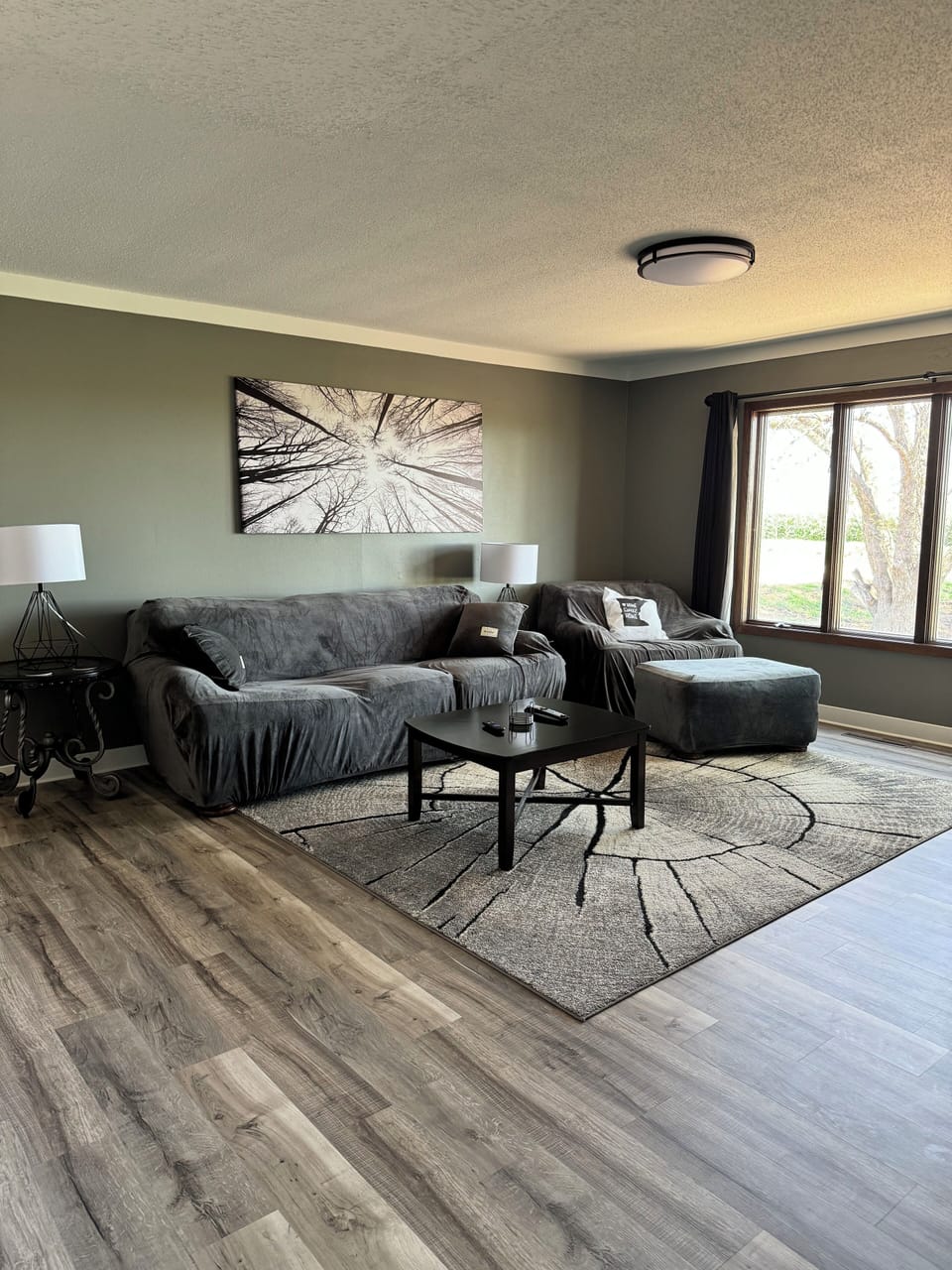 Main Floor Living Room