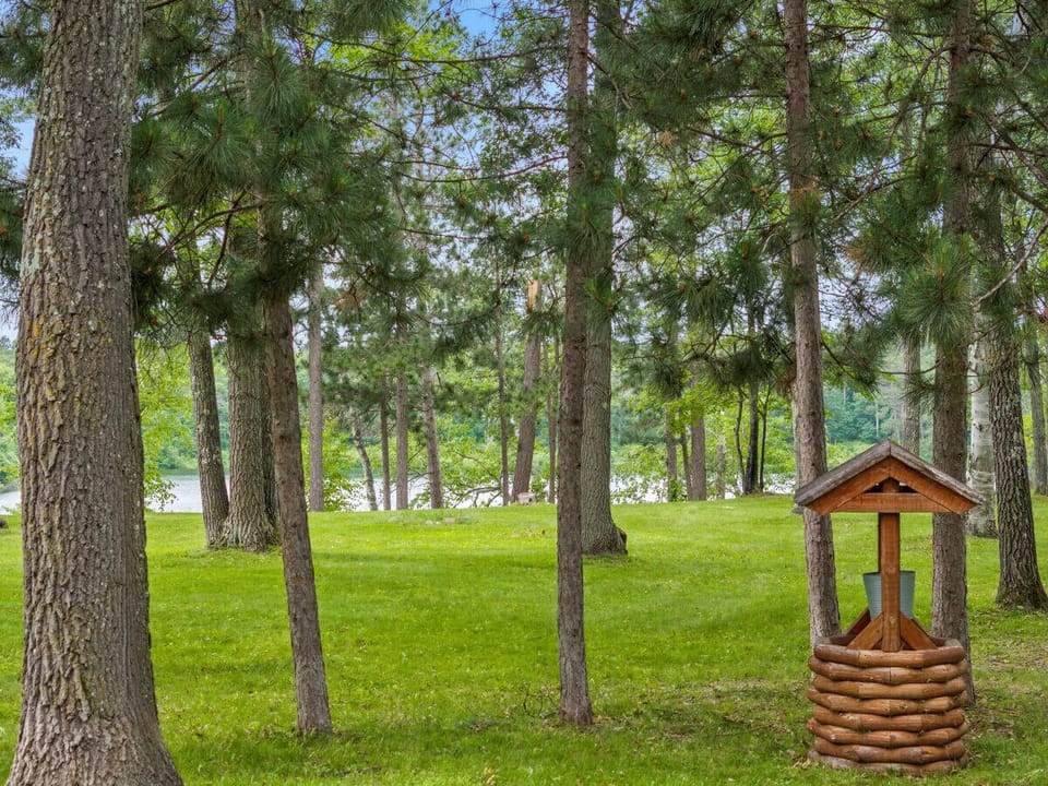 Outdoor garden feature with a wishing well and tall trees.