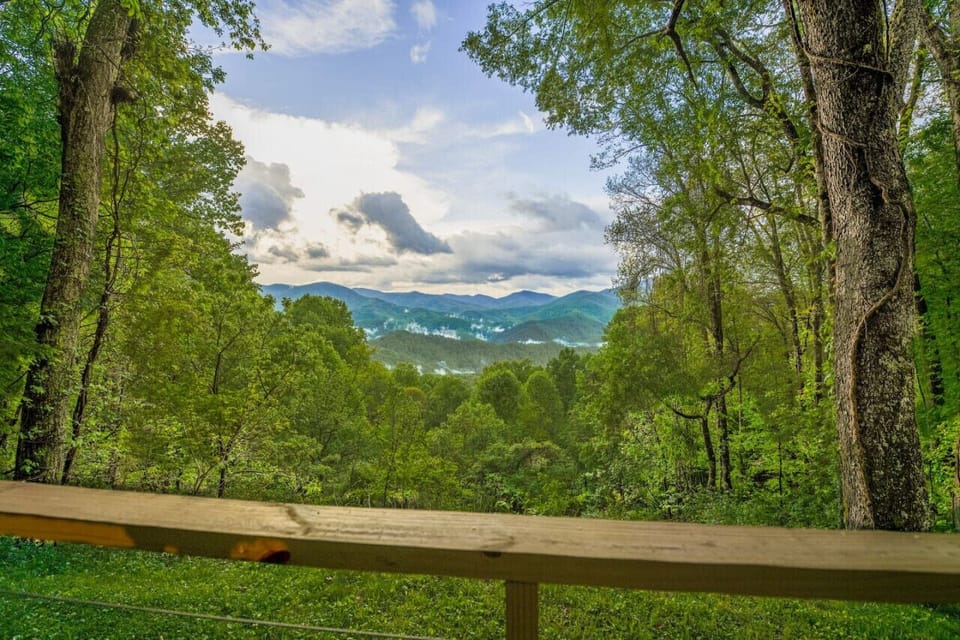 A Breathtaking View from the Forest's Edge