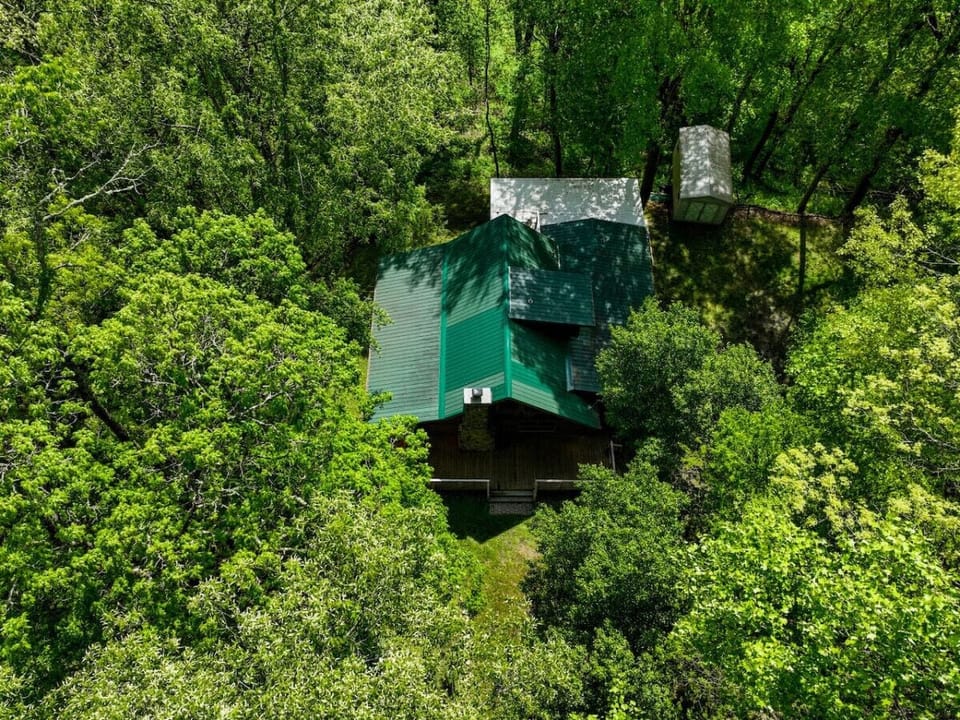 Aerial view of the house.