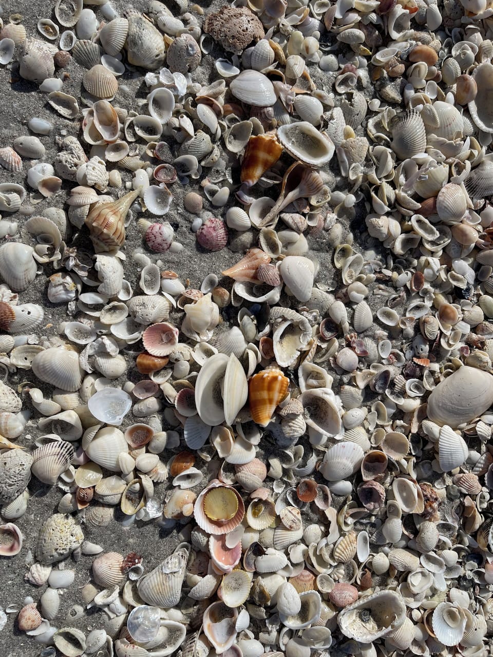 Miscellaneous