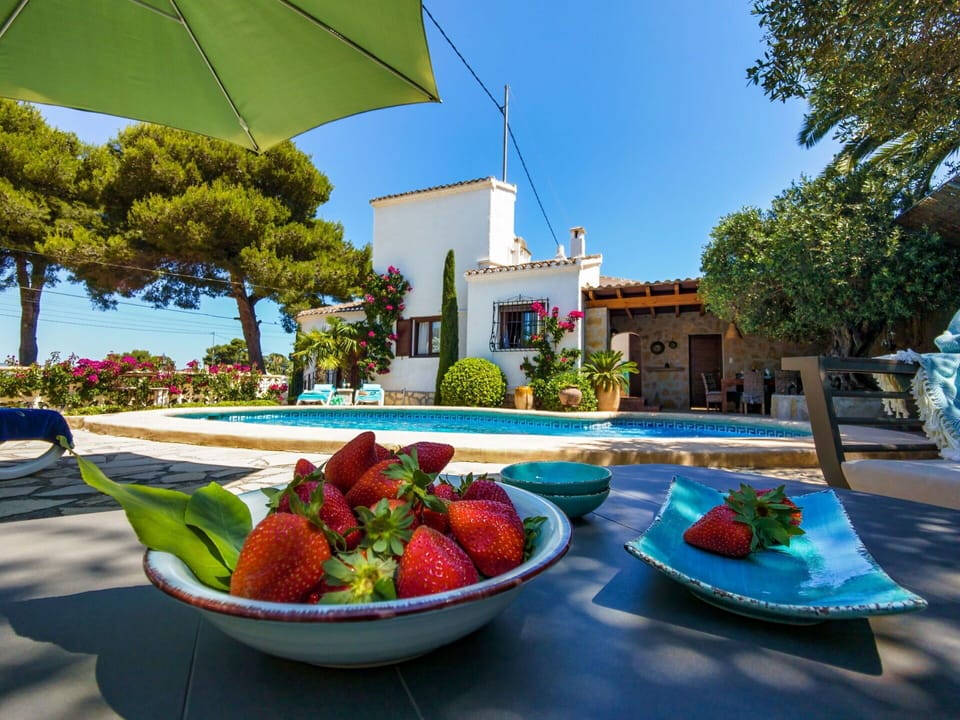 Food, Plant, Sky, Green, Nature, Azure, Tableware, Tree, Outdoor Furniture, Fruit
