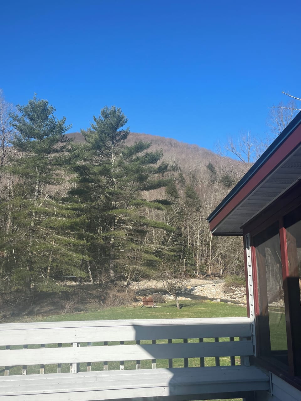 View from back deck