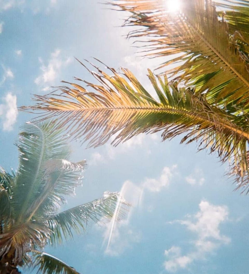 Soak up golden skies and palm fronds swaying overhead.