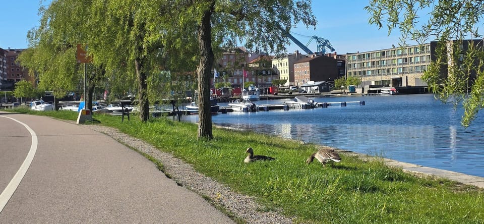Marina
