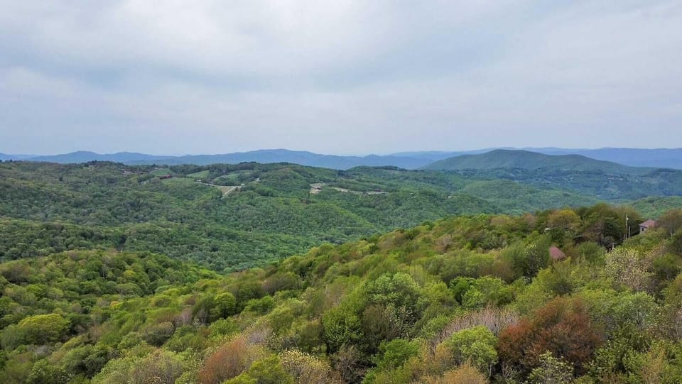 Magnificent Mountain Views