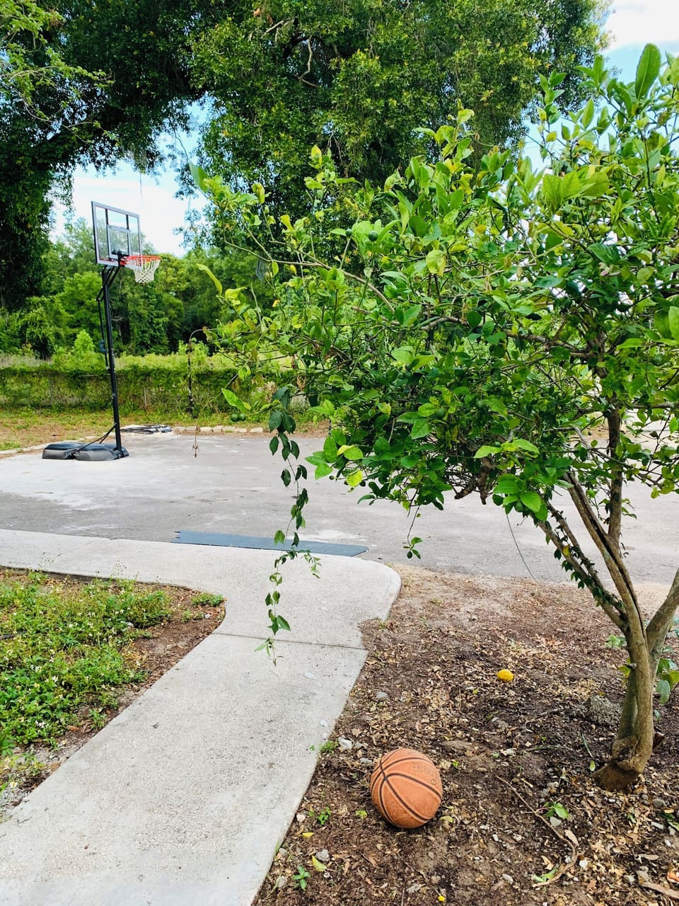 Sport court