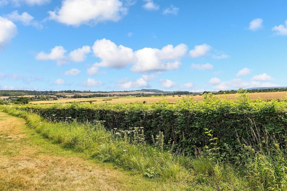 Immediate Surroundings [summer] (<1 km)