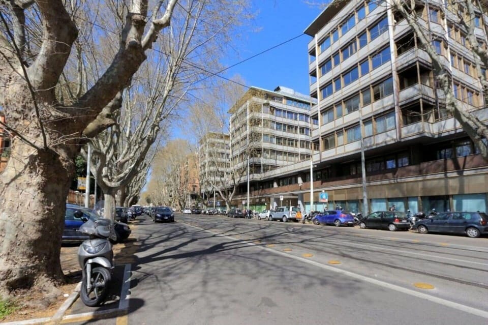 Scenic View