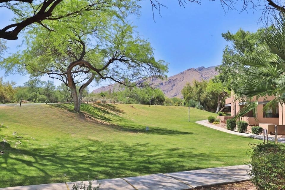Patio View