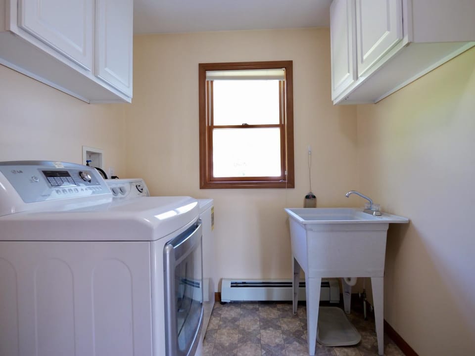 Chickadee on Drummond Island (2793)