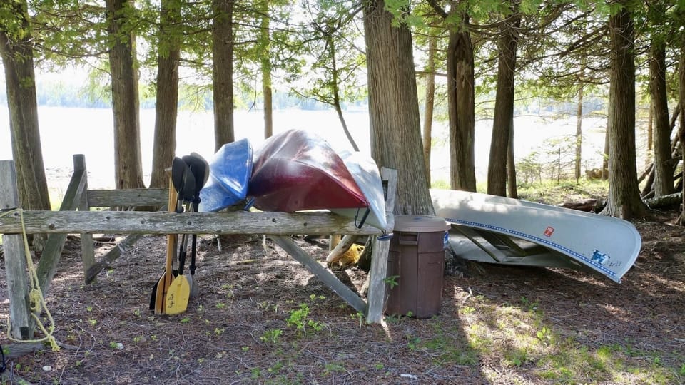 Bass Cove Cottage on Drummond Island (2408)