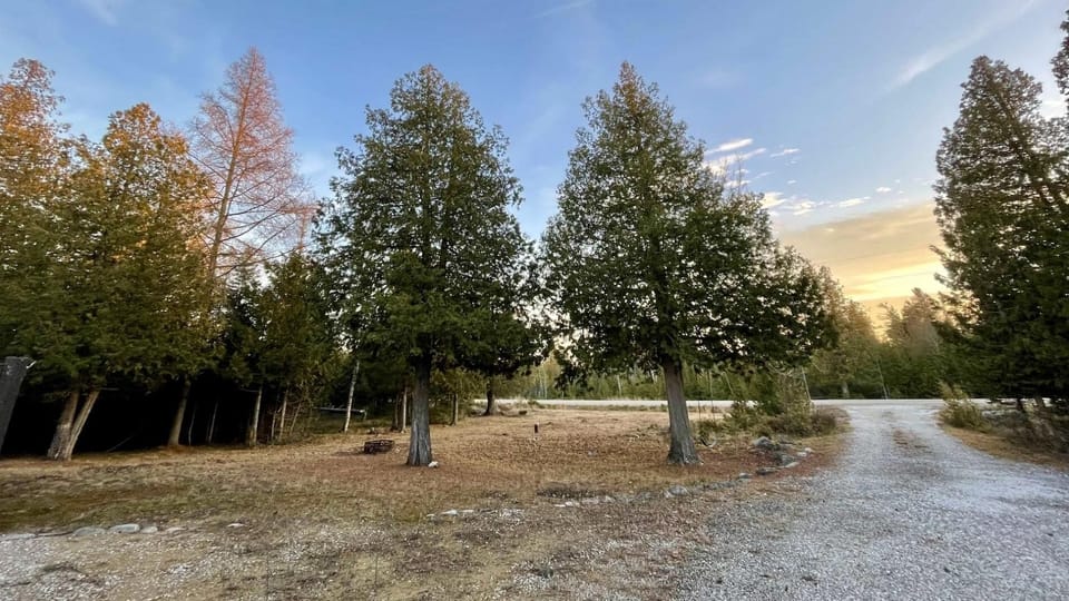 At the Trails on Drummond Island (2491)