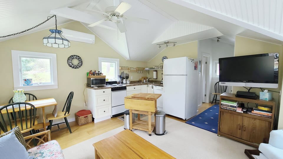 Main living area with vaulted ceiling