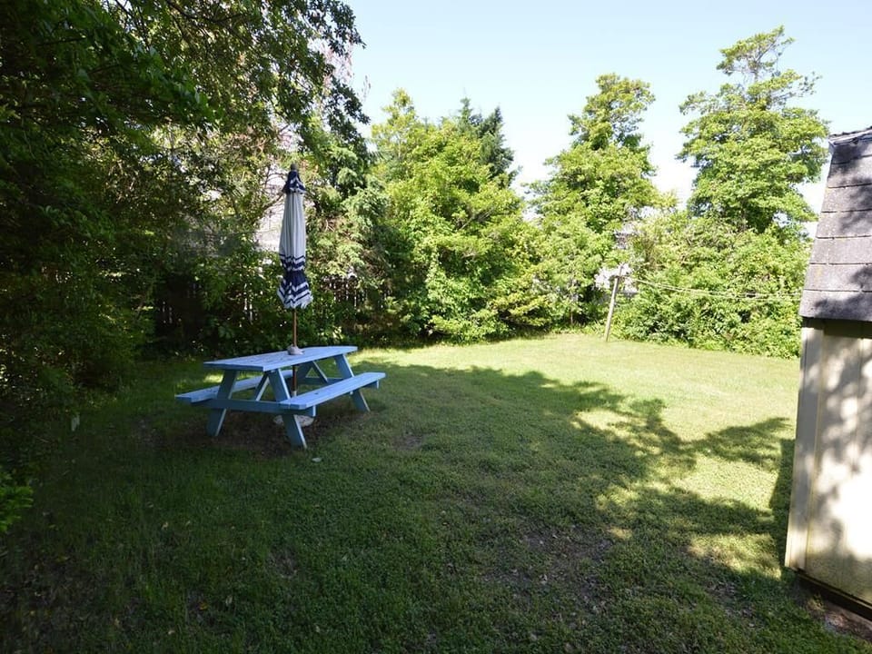 Rear yard with picnic table