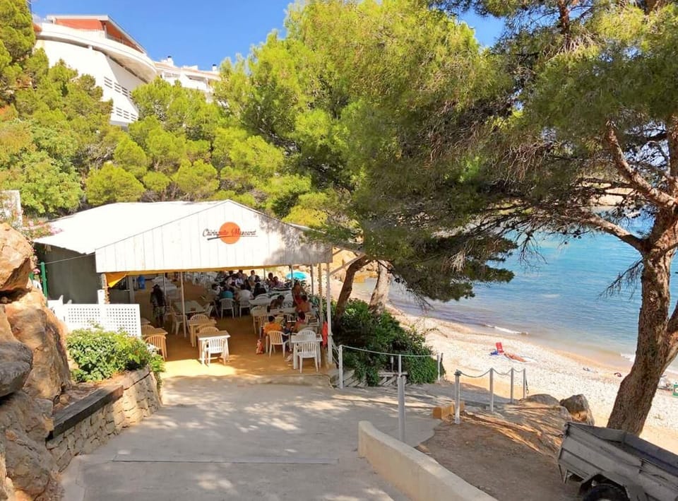 Seafront and Garden View - 21