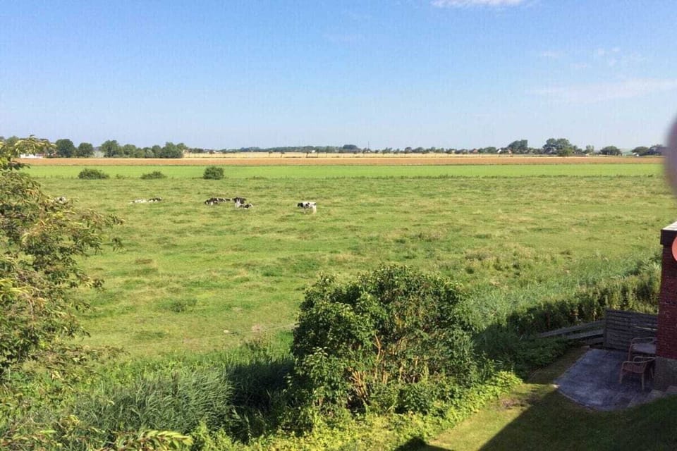 Region [summer] (>5 km)