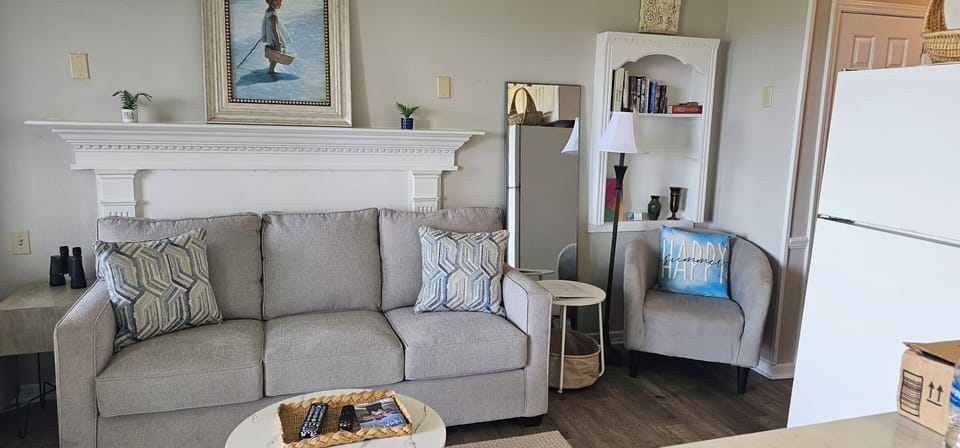 Brand New Sleeper Sofa, New Rug, New furniture! Open and Bright!