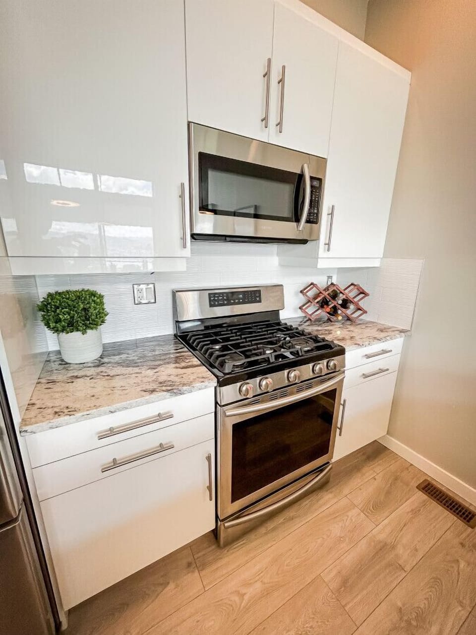 Stainless Steel Appliances
