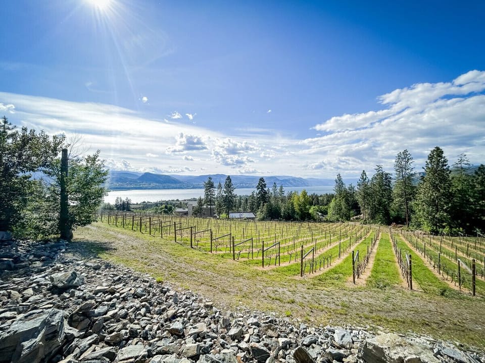 Private Vineyard with Lake View
