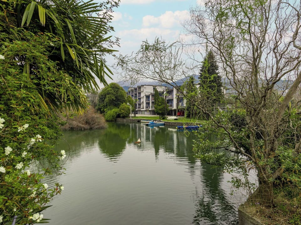 Water, Water Resources, Body Of Water, Green, Tree, Nature, Waterway, Watercourse, Bank, Reflection
