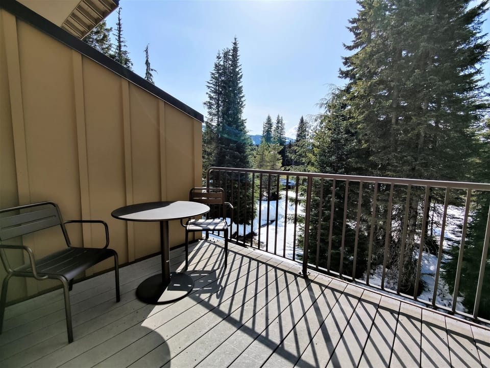 Patio View