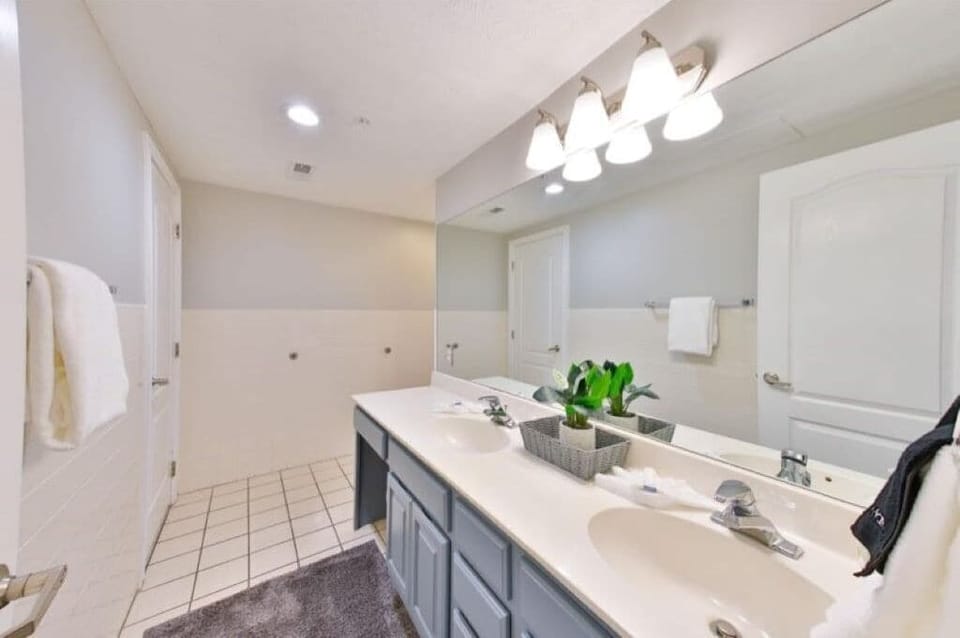 Main Suite bathroom