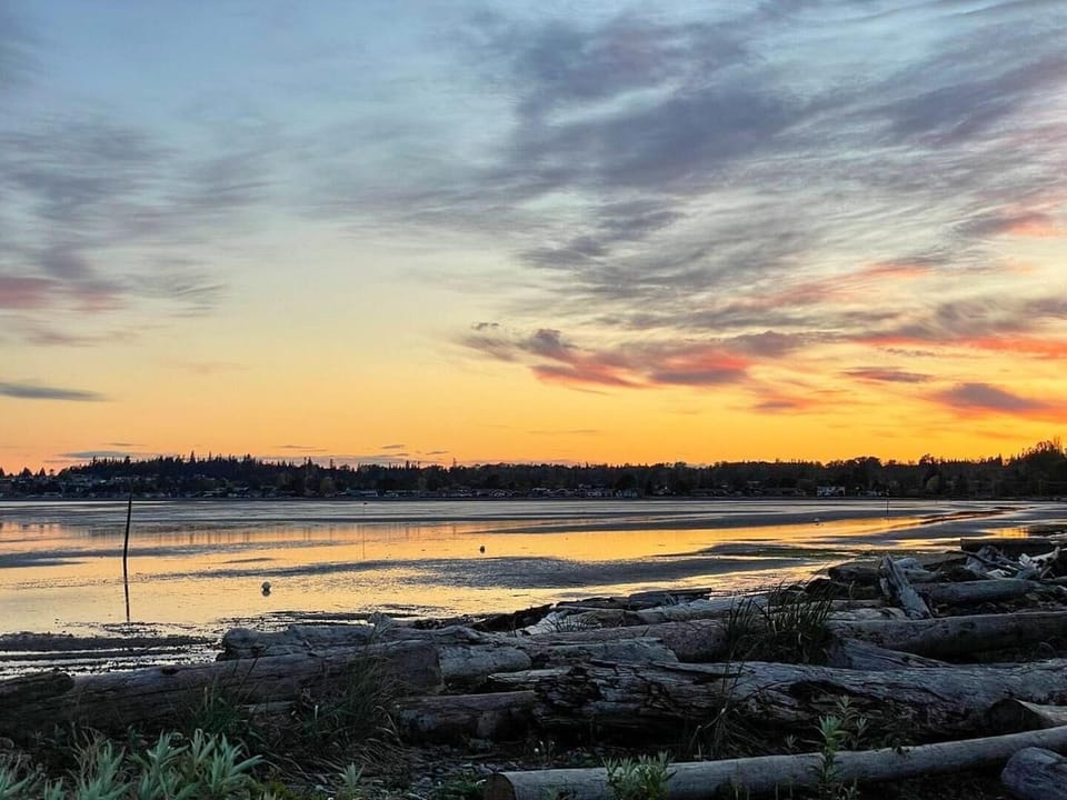 Tide Flats