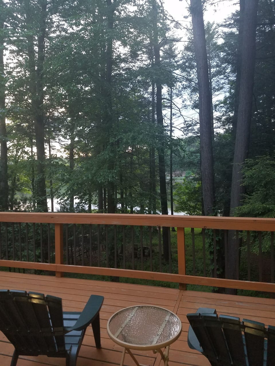 Views from back deck
