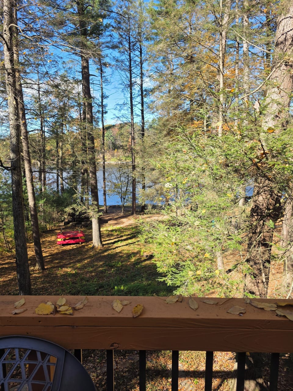 Views from back deck