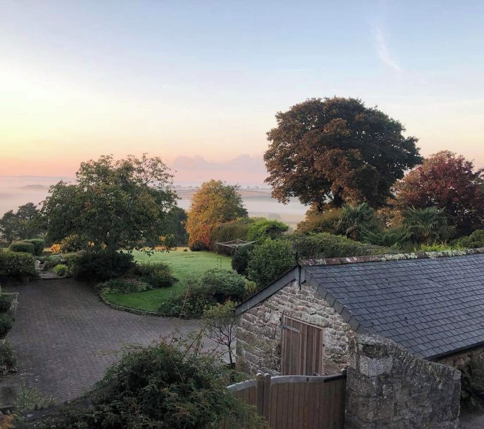 Autumn view
