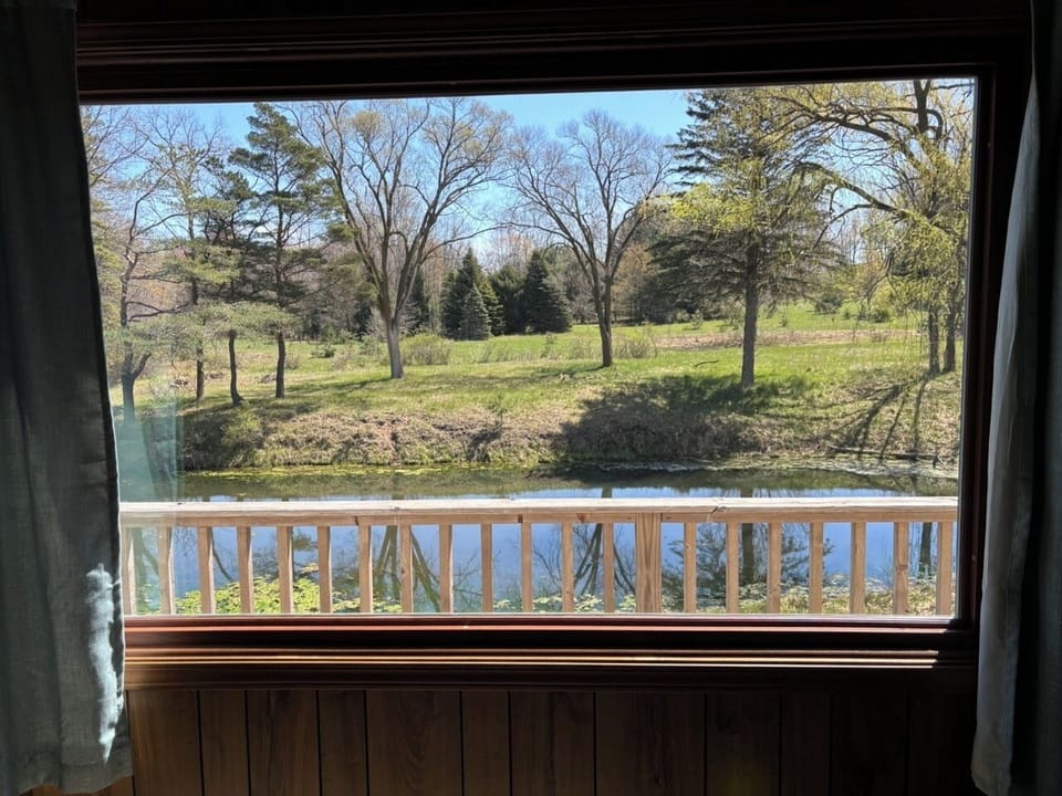 View from living room window