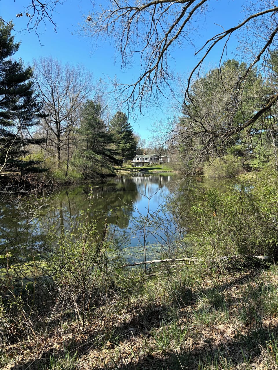 View of back of house from across the pond in backyard