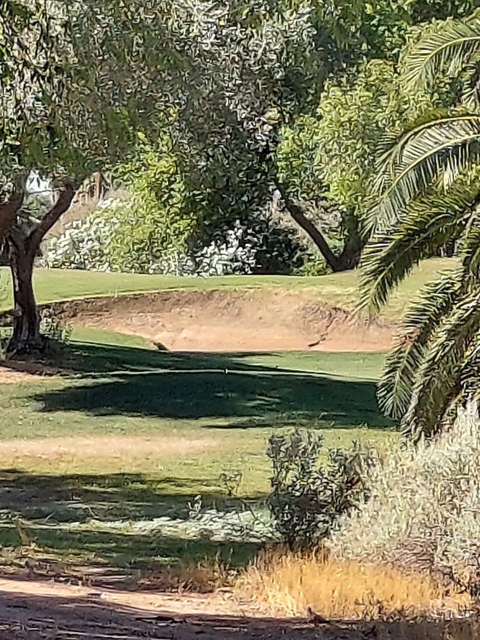 Superstition Spring Golf Course Next Door
