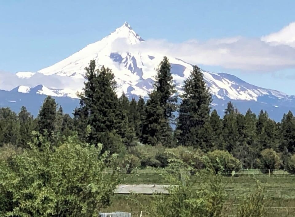Mt. Washington from Black Butte Meadow