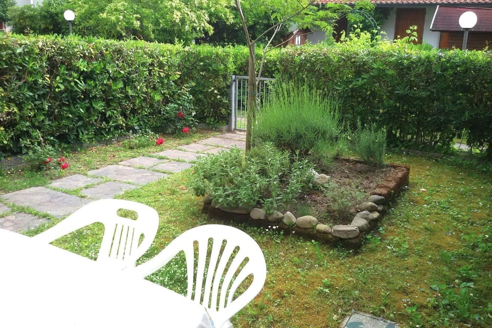 Garden [summer]