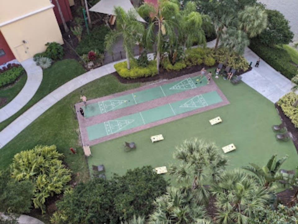 Sport court