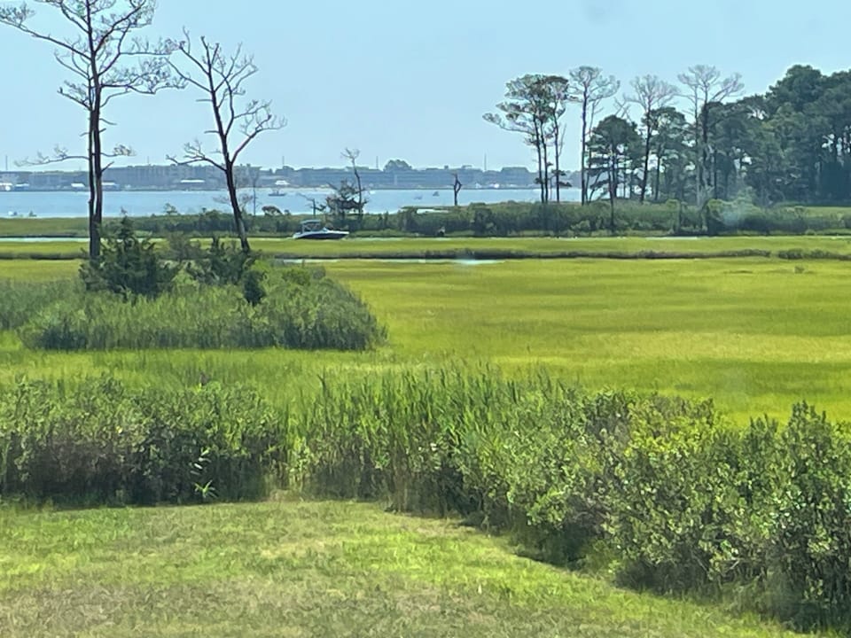 Can't beat this view from most rooms