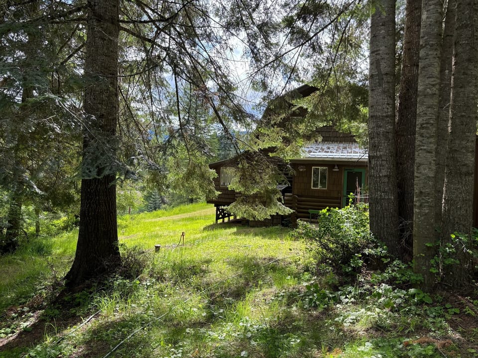 View of back entry to house