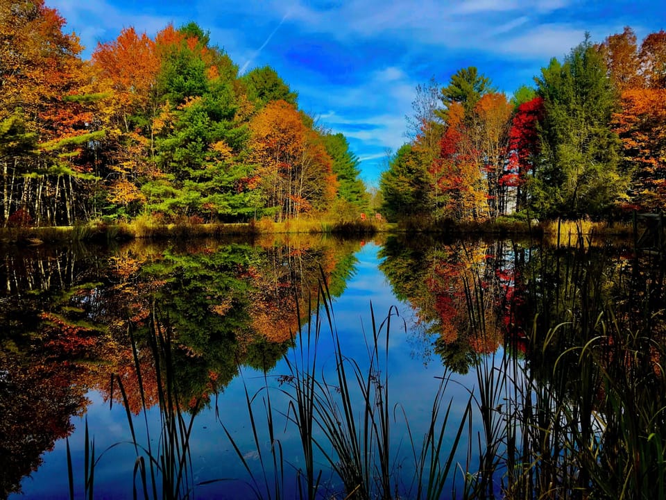 Fall is psychadelic here at New Rebel Station!
