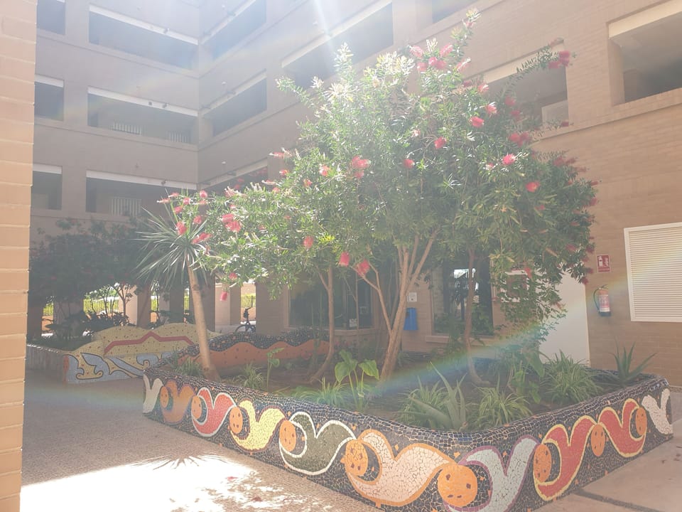 Property grounds