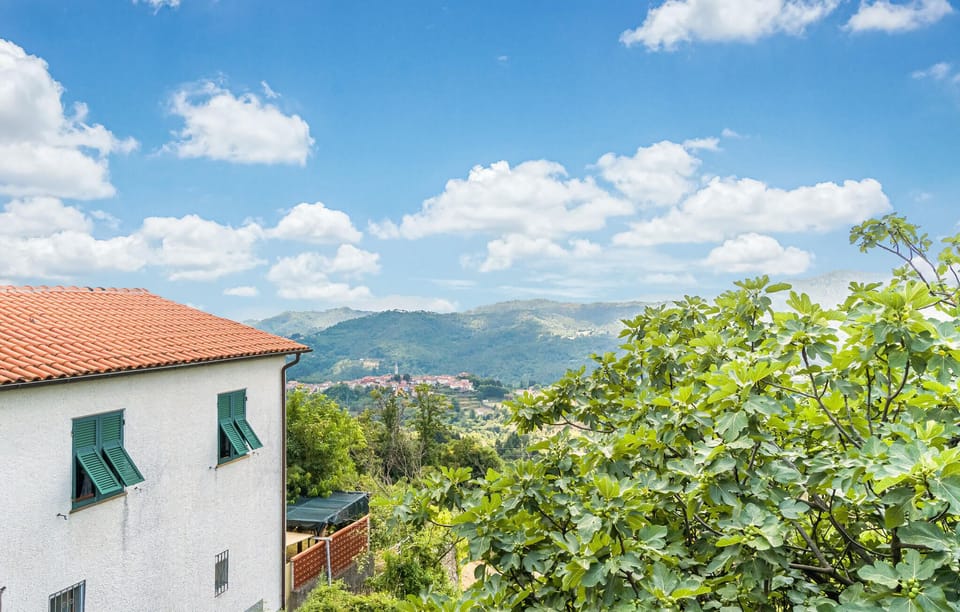 view-from-room