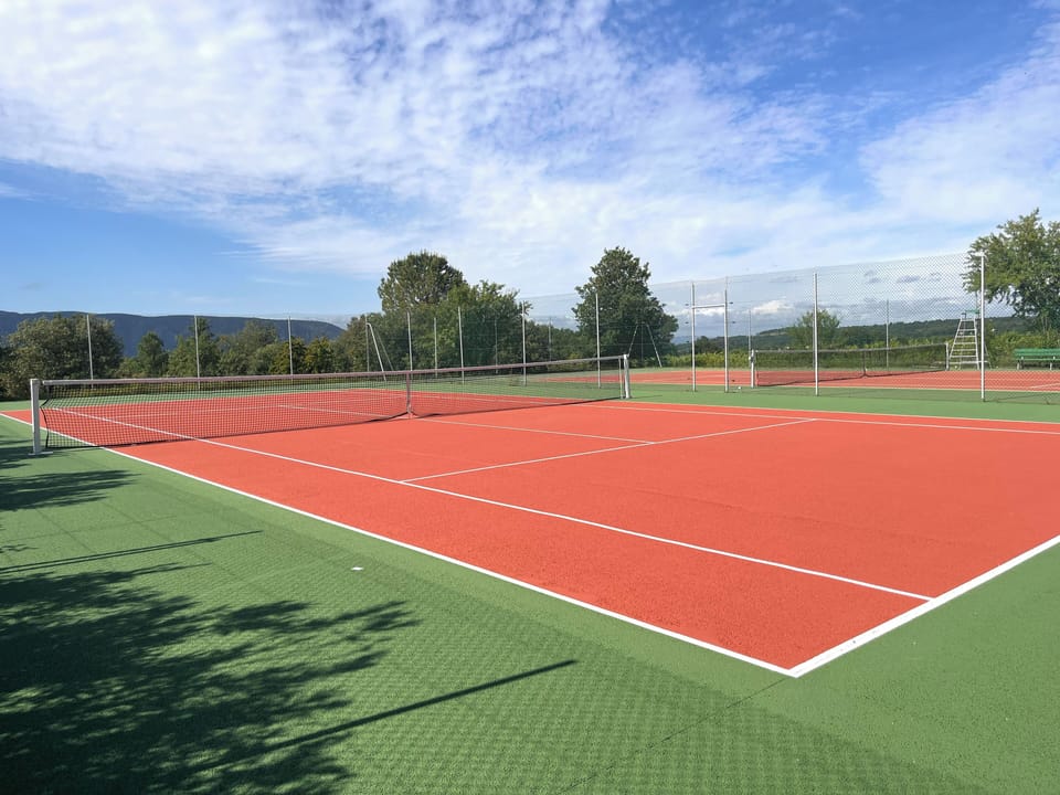 Sport court